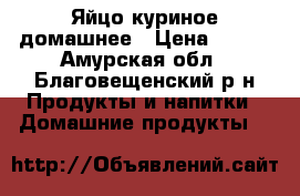 Яйцо куриное домашнее › Цена ­ 100 - Амурская обл., Благовещенский р-н Продукты и напитки » Домашние продукты   